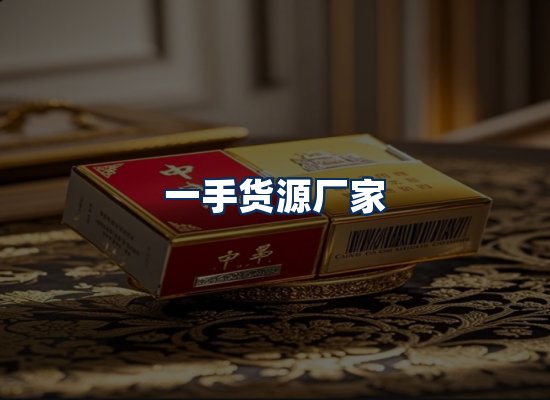 专业团队办公环境